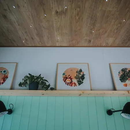 فيلة Tiny Transylvania, Rising High Above كلوج-نابوكا