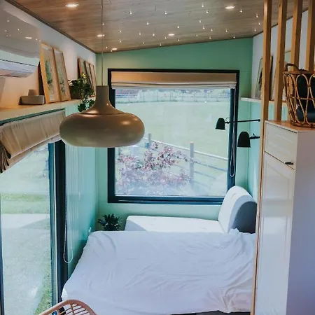 Tiny Transylvania, Rising High Above فيلة كلوج-نابوكا