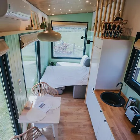 Tiny Transylvania, Rising High Above Vilă