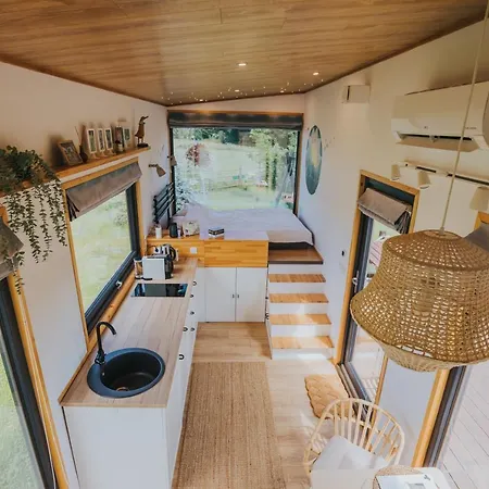 Tiny Transylvania, Rising High Above