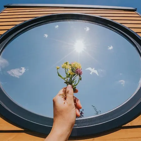 Tiny Transylvania, Rising High Above Cluj-Napoca