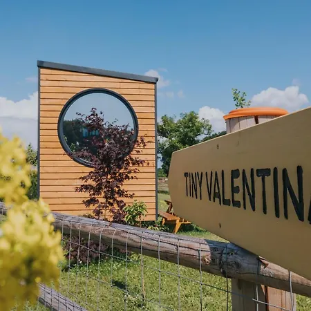 Tiny Transylvania, Rising High Above Villa Cluj-Napoca