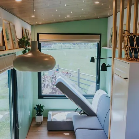 Tiny Transylvania, Rising High Above فيلة