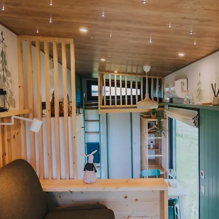 Tiny Transylvania, Rising High Above *