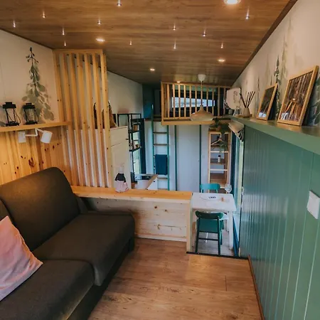 Tiny Transylvania, Rising High Above Κλουζ-Ναπόκα