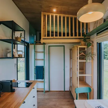 Tiny Transylvania, Rising High Above فيلة