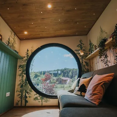 Tiny Transylvania, Rising High Above فيلة كلوج-نابوكا