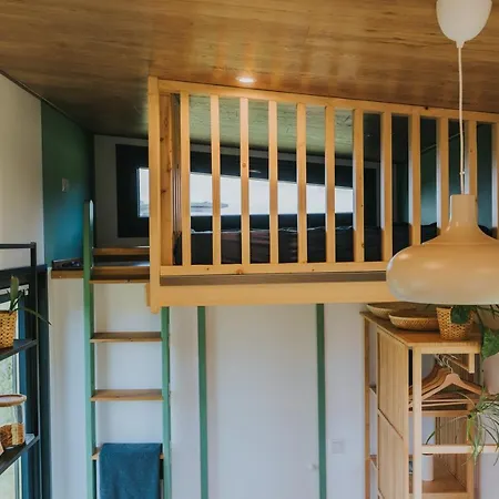 Tiny Transylvania, Rising High Above