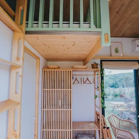 Tiny Transylvania, Rising High Above فيلة كلوج-نابوكا