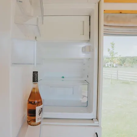 فيلة Tiny Transylvania, Rising High Above كلوج-نابوكا