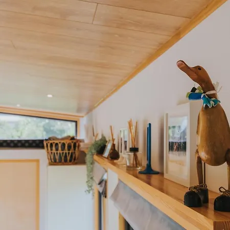 Tiny Transylvania, Rising High Above كلوج-نابوكا