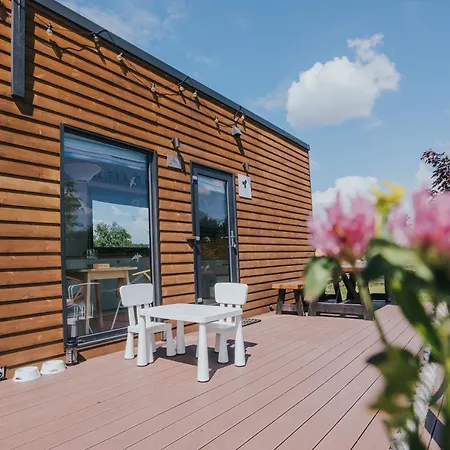 Tiny Transylvania, Rising High Above *