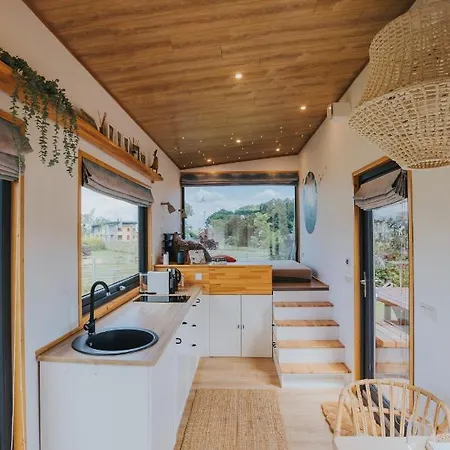 Tiny Transylvania, Rising High Above كلوج-نابوكا