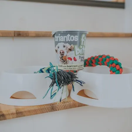 Tiny Transylvania, Rising High Above *