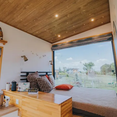 فيلة Tiny Transylvania, Rising High Above كلوج-نابوكا