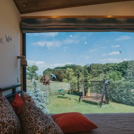 فيلة Tiny Transylvania, Rising High Above *