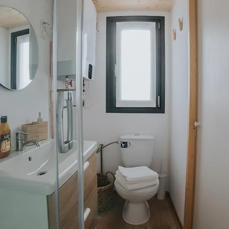 Tiny Transylvania, Rising High Above فيلة