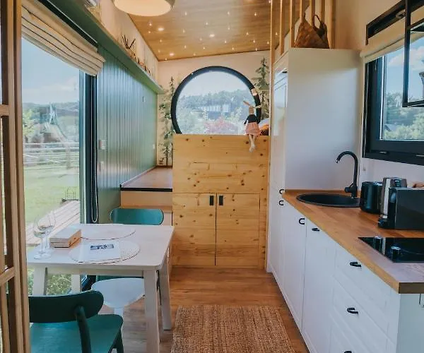 Tiny Transylvania, Rising High Above *