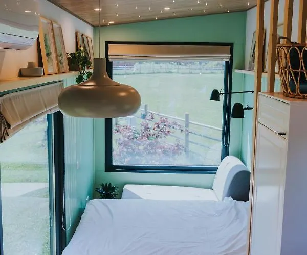 Tiny Transylvania, Rising High Above Βίλα Κλουζ-Ναπόκα