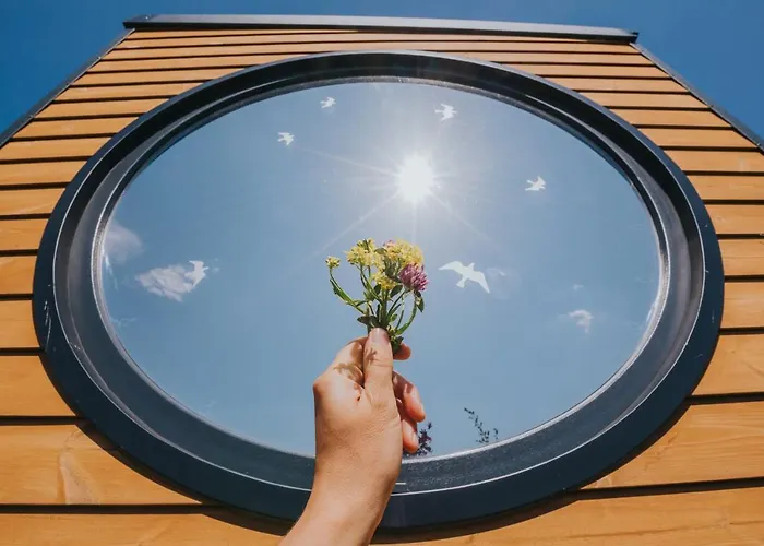 Tiny Transylvania, Rising High Above Κλουζ-Ναπόκα
