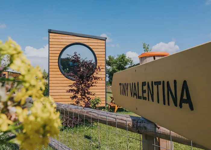 Tiny Transylvania, Rising High Above Willa Kluż-Napoka