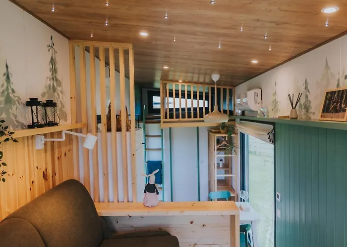 Tiny Transylvania, Rising High Above *