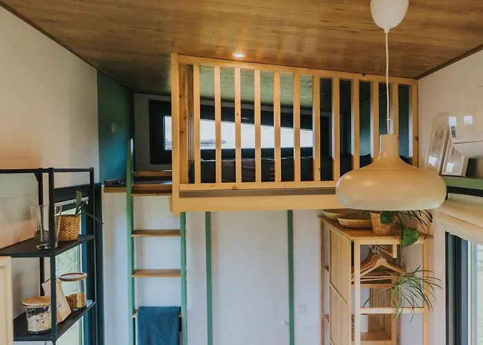 Tiny Transylvania, Rising High Above