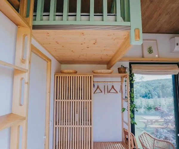 Tiny Transylvania, Rising High Above Vila Kluž