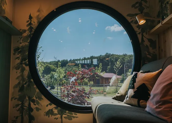 Willa Tiny Transylvania, Rising High Above Kluż-Napoka