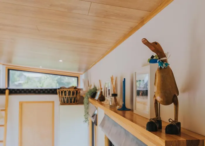 Tiny Transylvania, Rising High Above Cluj-Napoca