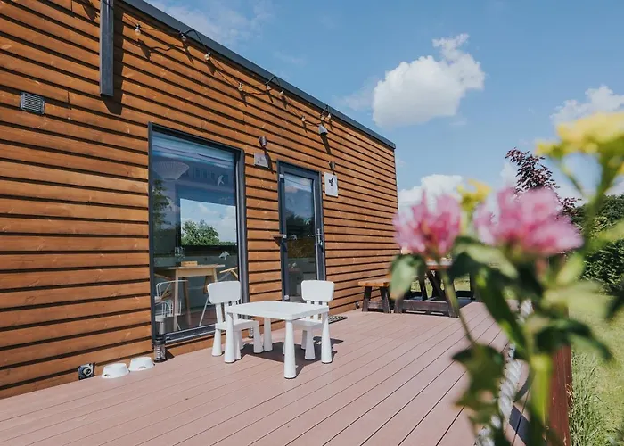 Tiny Transylvania, Rising High Above *