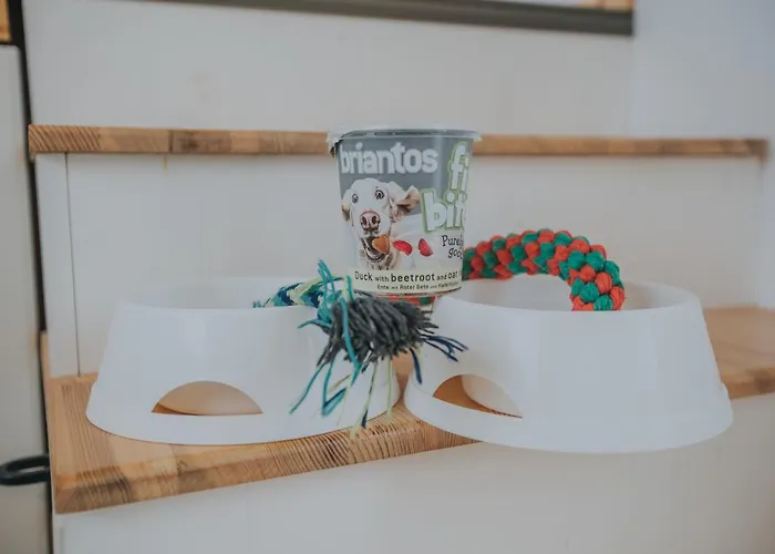 Tiny Transylvania, Rising High Above *