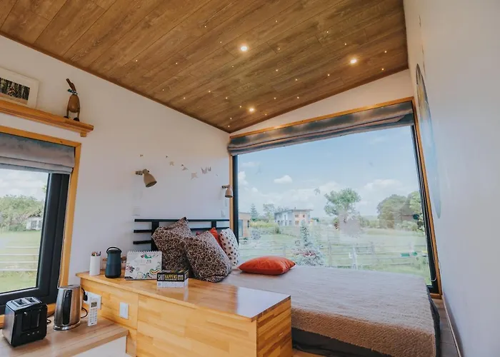 Villa Tiny Transylvania, Rising High Above Cluj-Napoca