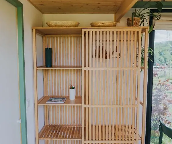 Tiny Transylvania, Rising High Above * Kluž