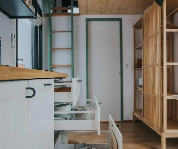 Tiny Transylvania, Rising High Above Βίλα Κλουζ-Ναπόκα